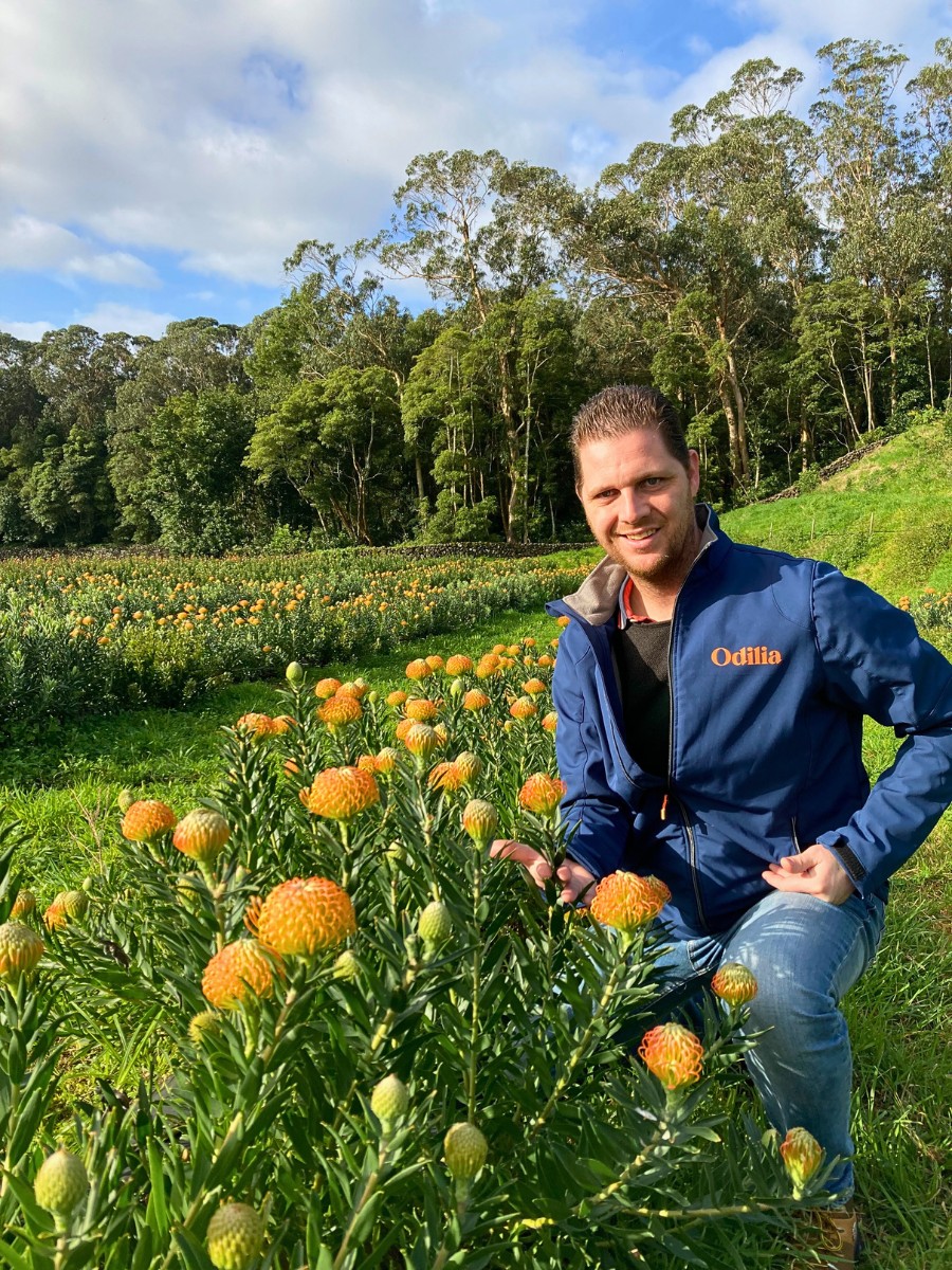 Color&iacute;ginz&rsquo;s Odilia and FruterCoop Brings You Quality Nutans From the Azores for Year-Round Supply.