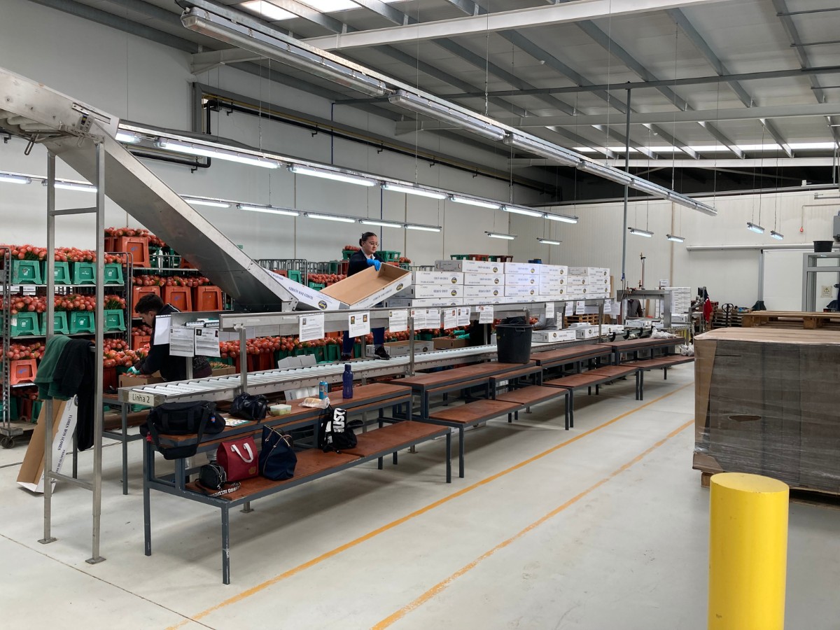 Color&iacute;ginz&rsquo;s Odilia and FruterCoop Brings You Quality Nutans From the Azores for Year-Round Supply.