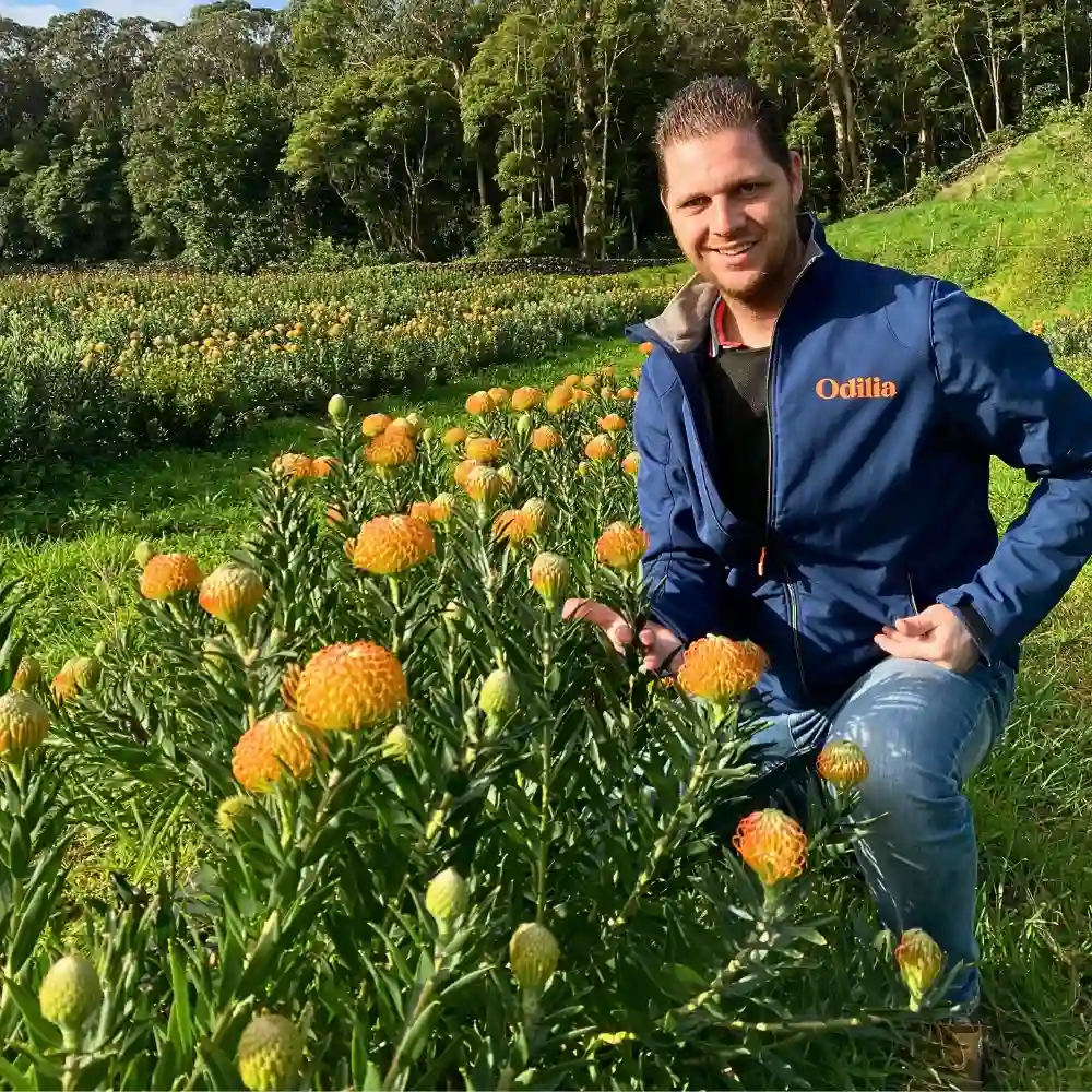 Coloríginz’s Odilia and FruterCoop Brings You Quality Nutans From the Azores for Year-Round Supply.