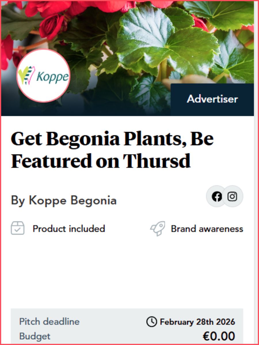 Koppe Begonia project on myThursd myThursd Meetup Spot