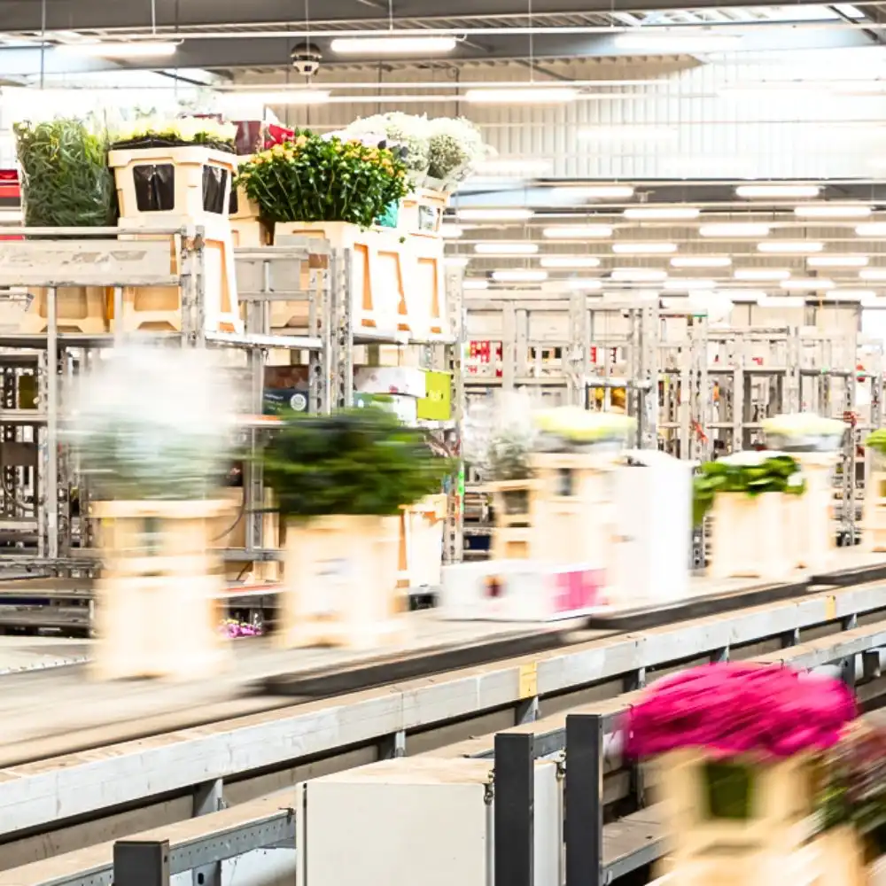 Private Equity in Floriculture