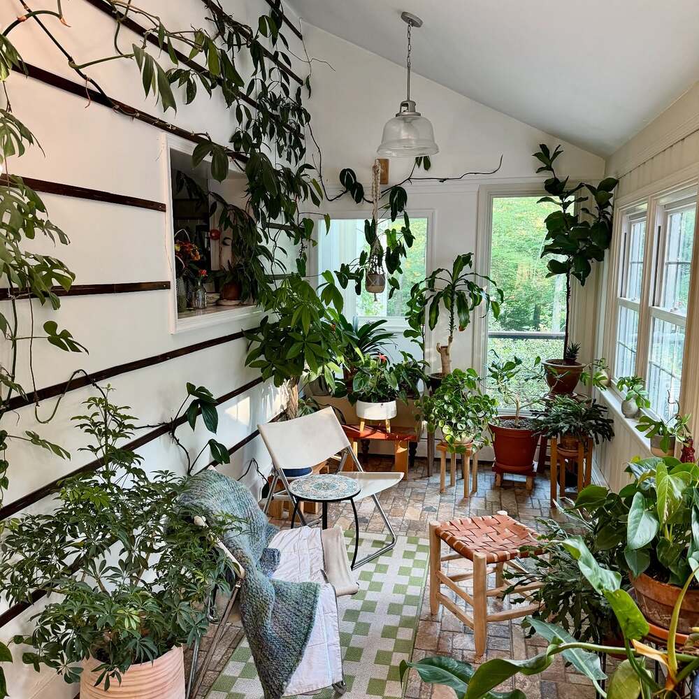 Little houseplant room refresh