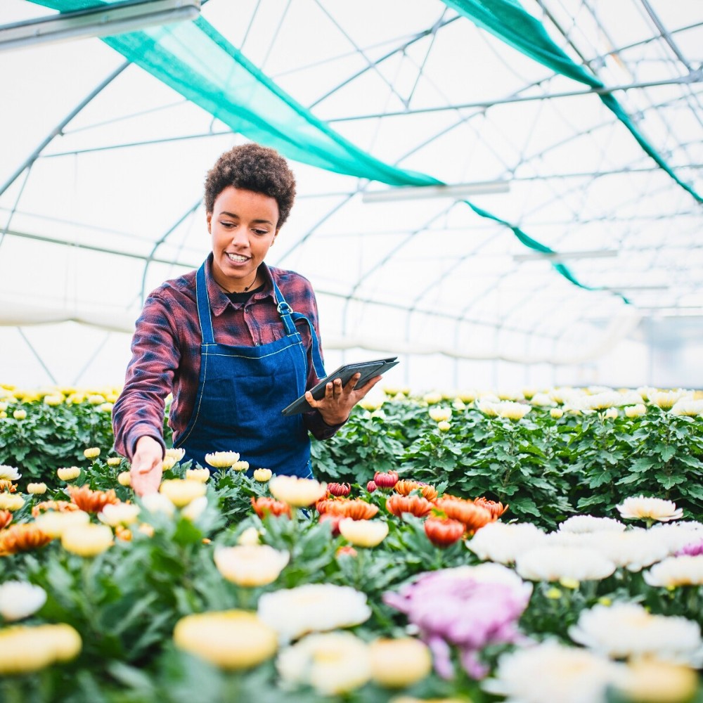 Floriculture Sustainability Differs by Industry Sector