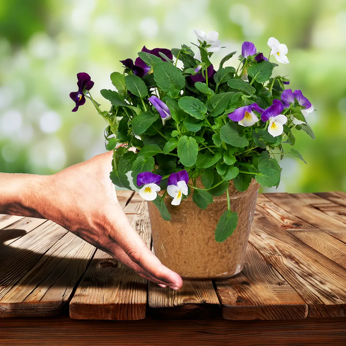 Plantics' DOPA Paper Pots Reducing Plastic in Horticulture - Thursd Article - Feature Image