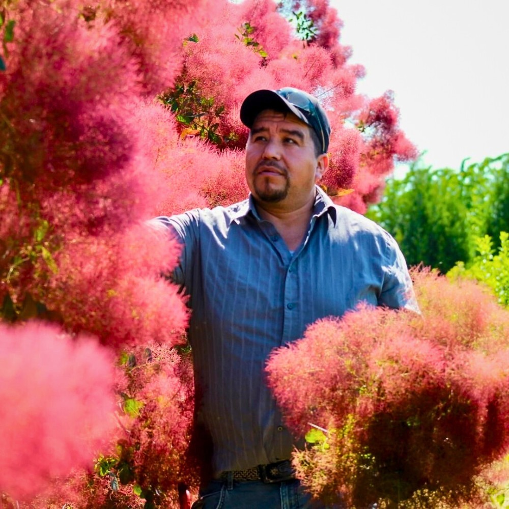 Sustainable blooms: a look at environmental practices in U.S. floriculture