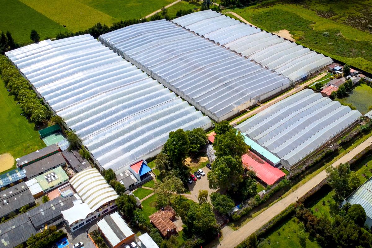 Dummen Orange new location Bogota