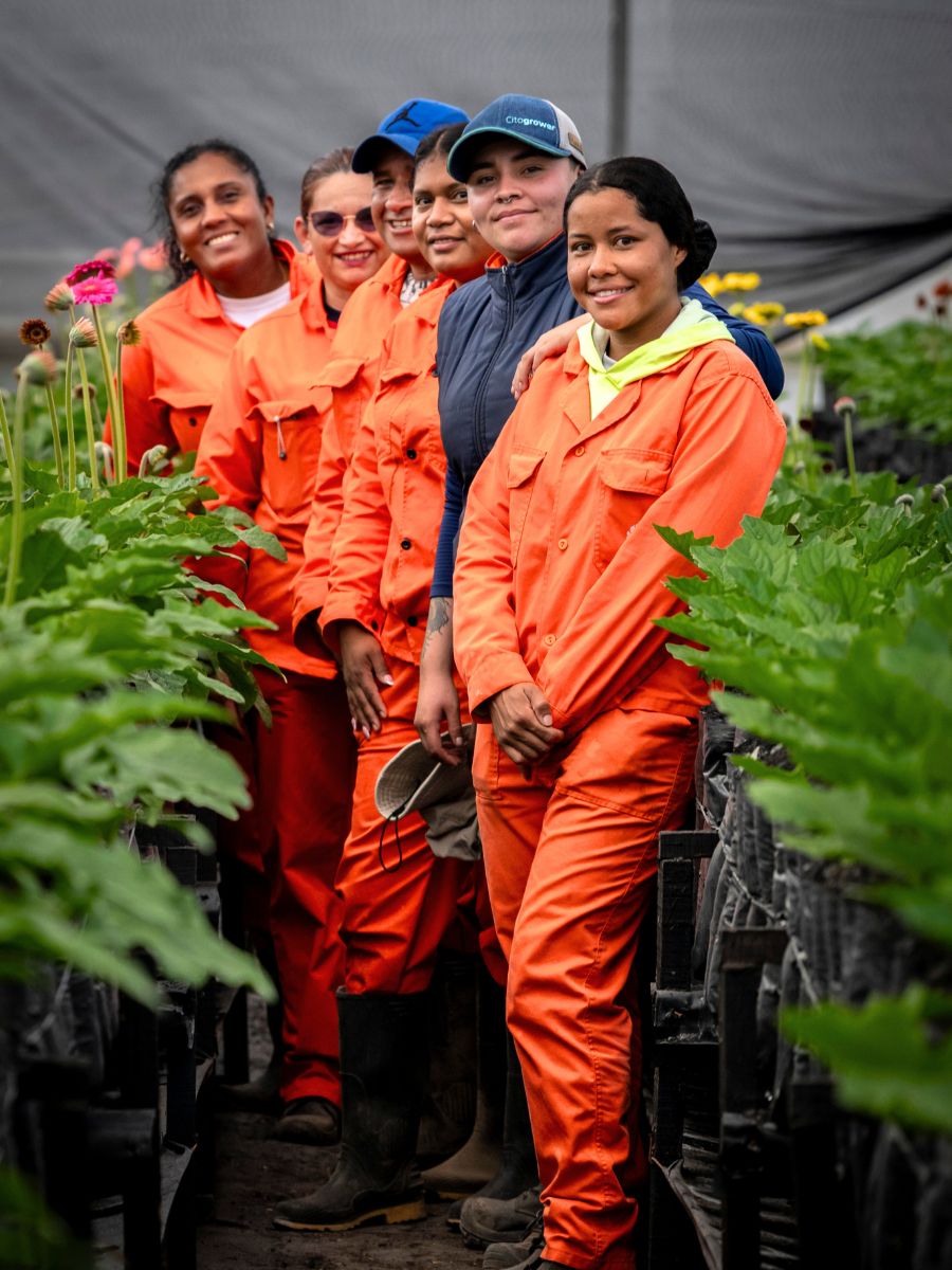 Part of the Dummen Orange Latam team