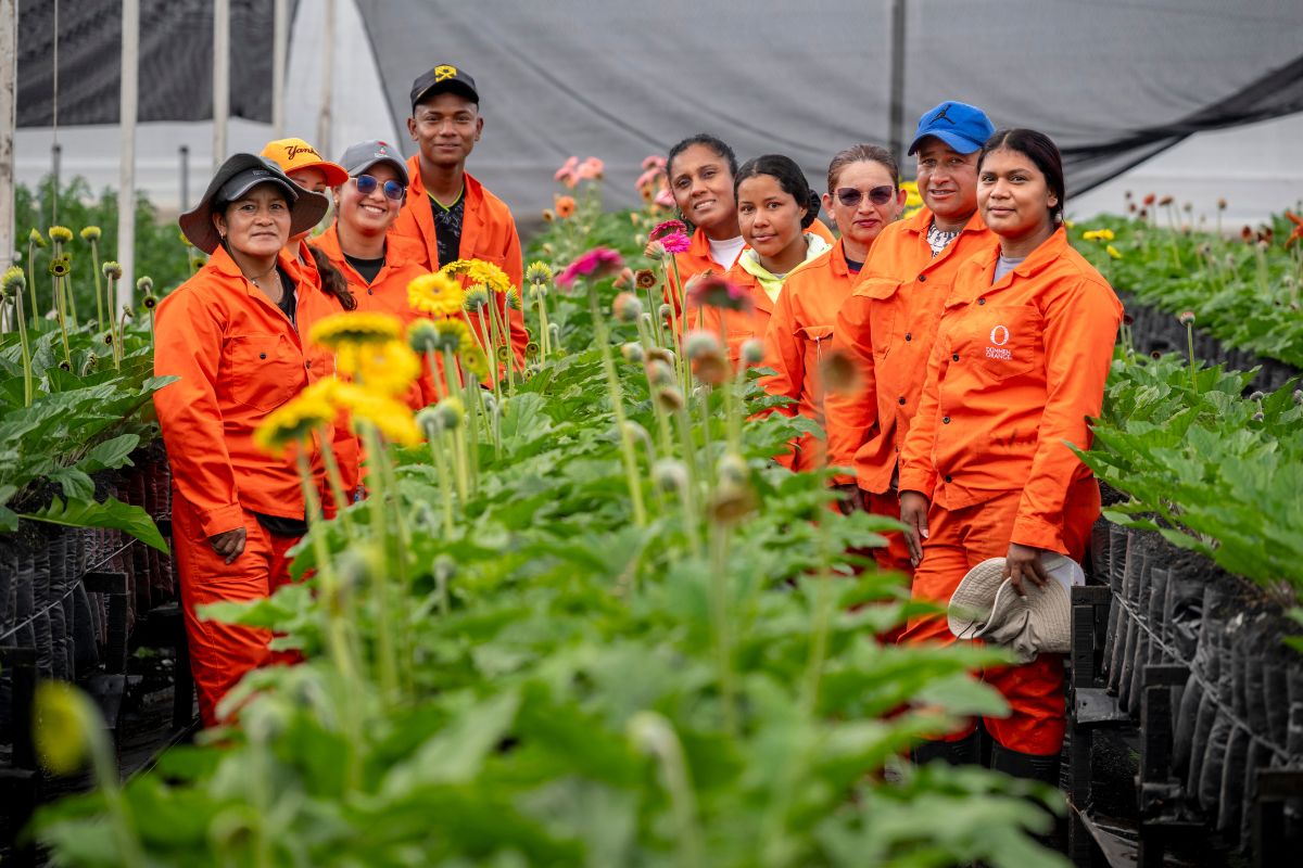 Ready to welcome visitors to the farm