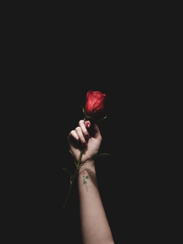 Red Rose Tattoo on Thursd