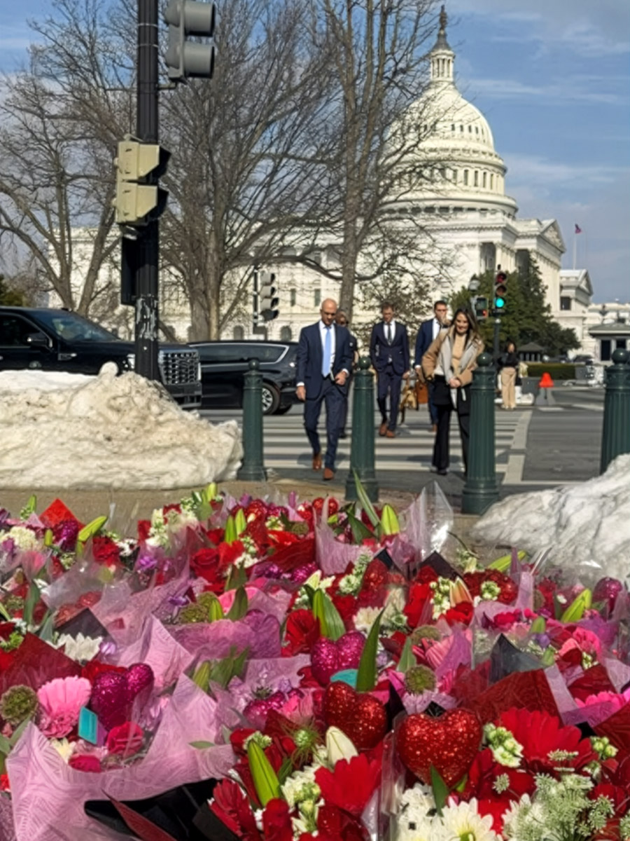 Valentine Flowers from Colombia on Independence Avenue