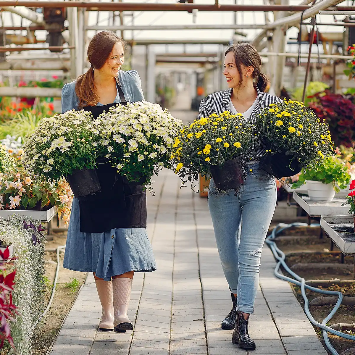 American Floral Endowment’s Sustainabloom Study Affirms That Sustainability in Floriculture Is a Shared Responsibility, but Not a Uniform Priority Across the Sector Segments.