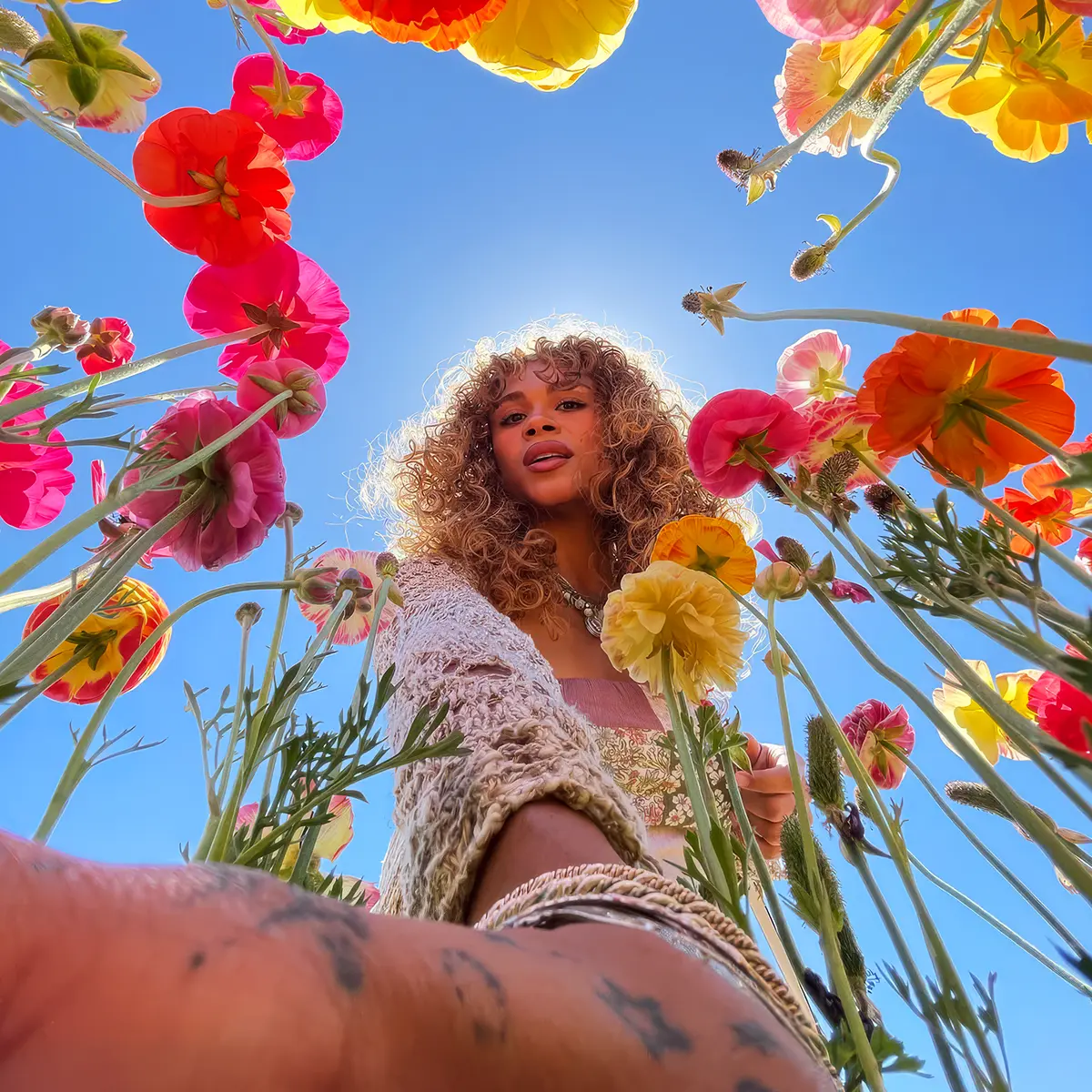 Spring Into Color by Visiting the Flower Fields at Carlsbad California