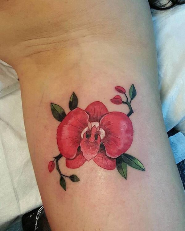Small Orchid Tattoo Idea on Thursd