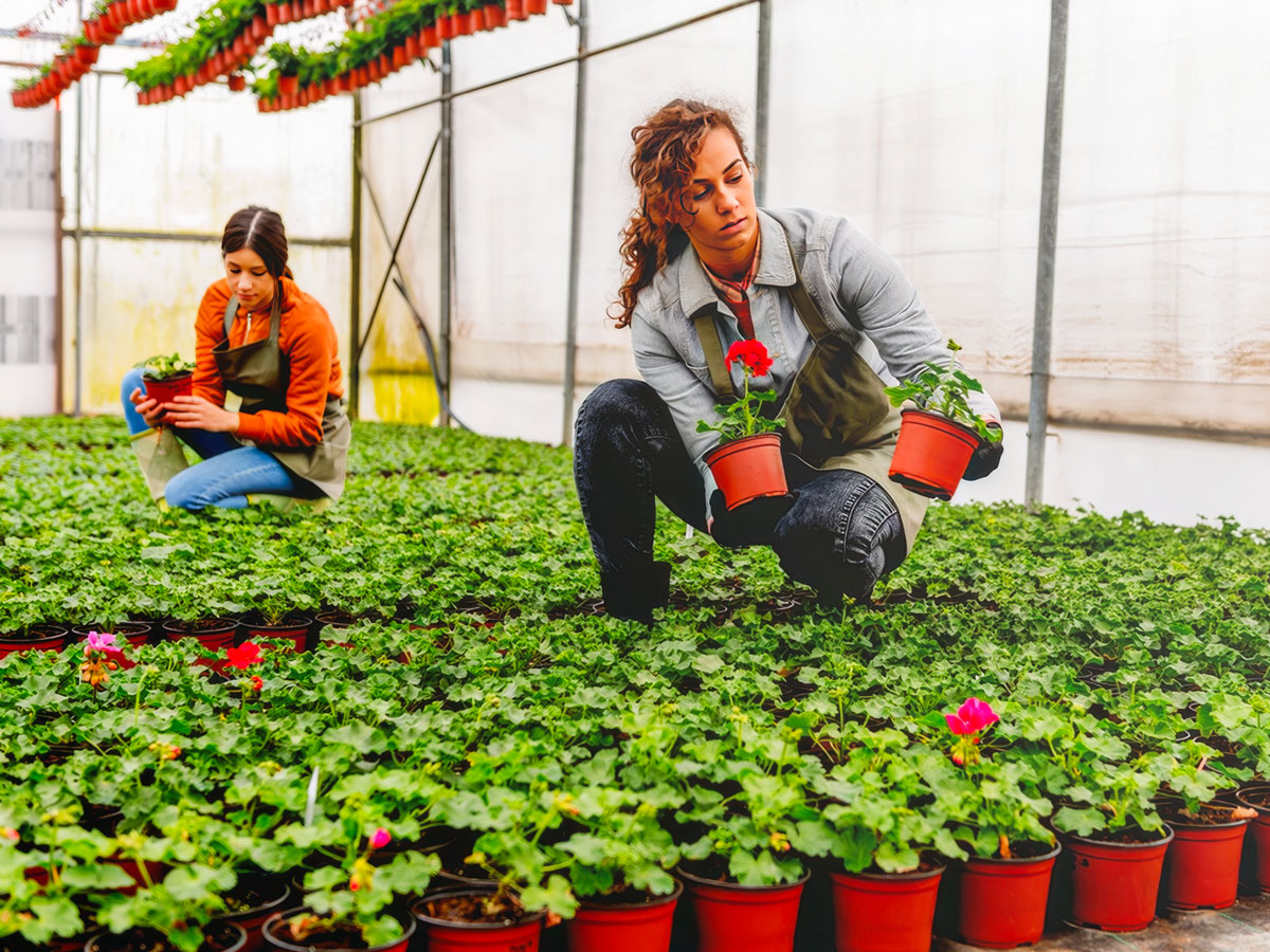 Two women in plant greenhouse horticulturalist
