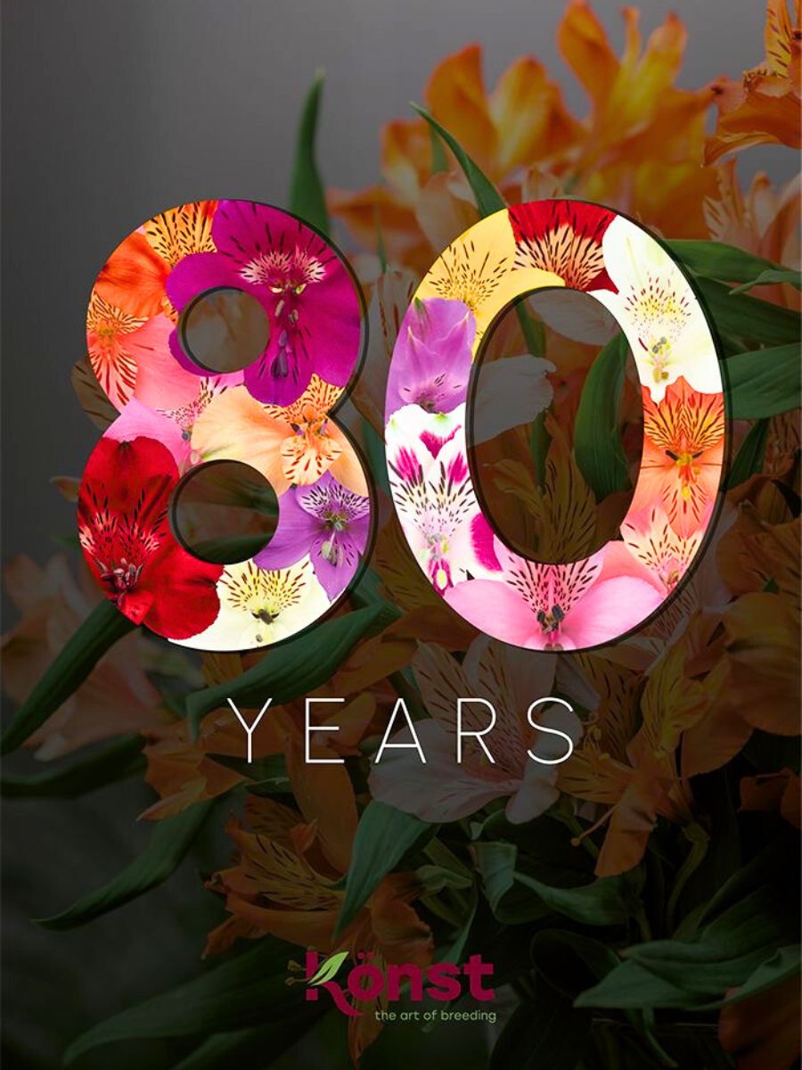 Eighty years of Konst Alstroemeria