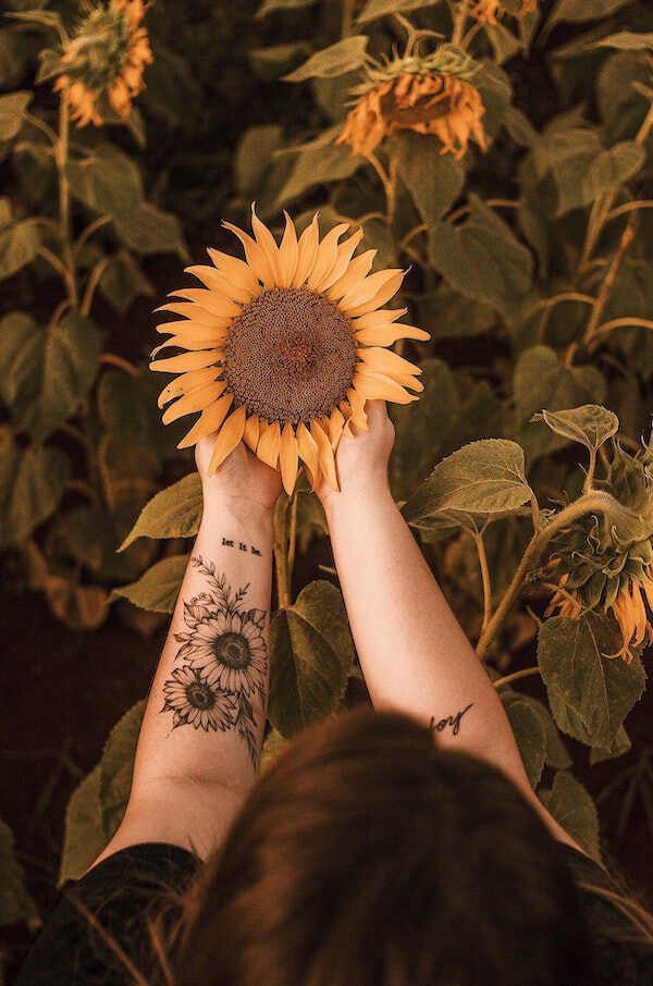 15 Small Plant Tattoo Ideas That Can Be Covered (Or Shown) at a Whim Sunflower Tattoo
