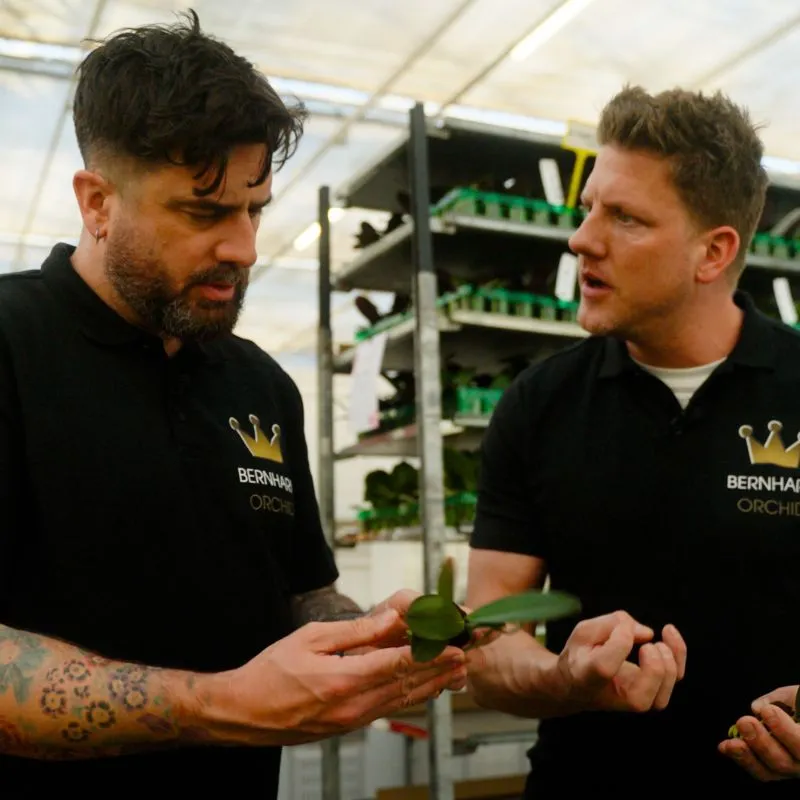 Michael Perry with Decorum Grower for a day