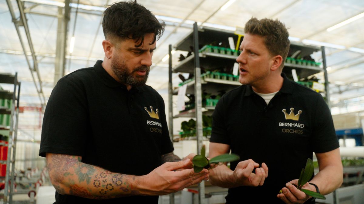 Michael Perry with Bernhard and Decorum Grower for a day