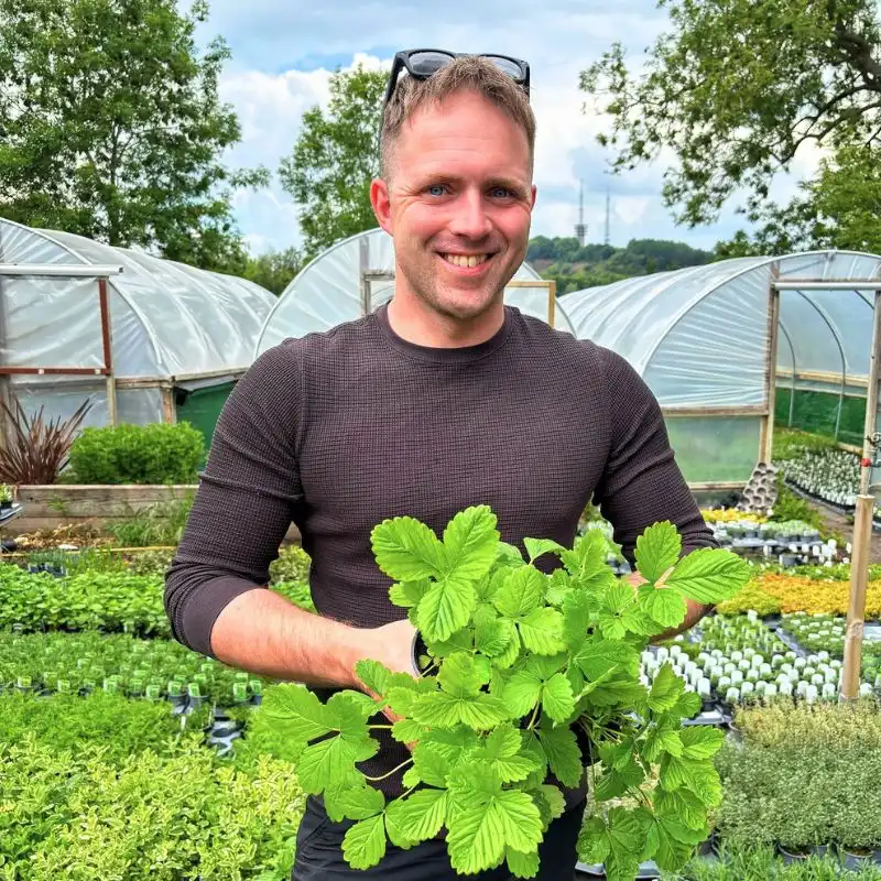 Fruit Trees for Reliable UK Harvests Feature Image