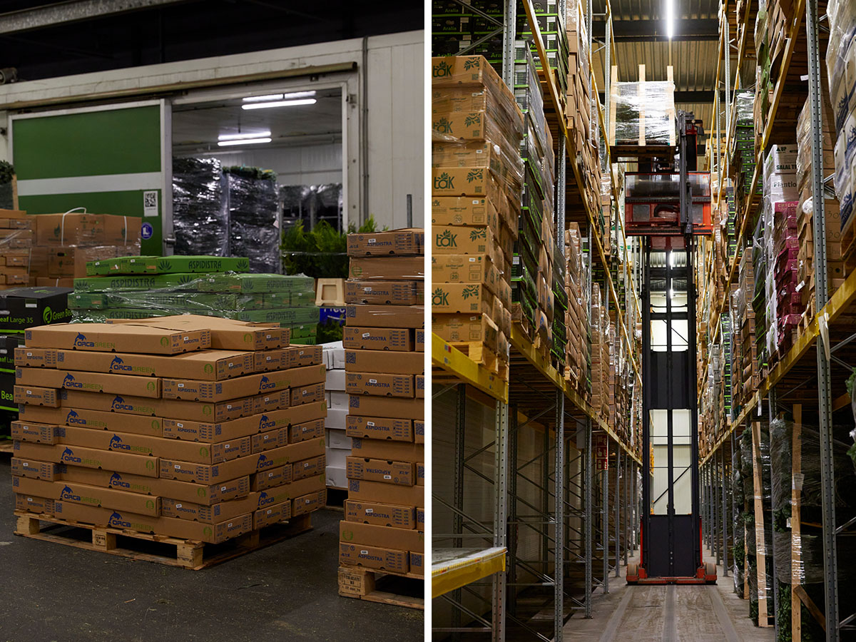 Adomex warehouse with OrcaGreen boxes