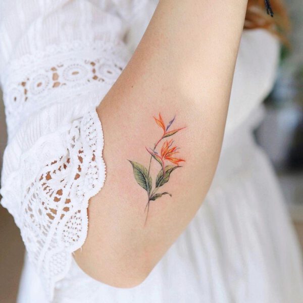 The best and most meaningful small tattoo ideas with plants on Thursd