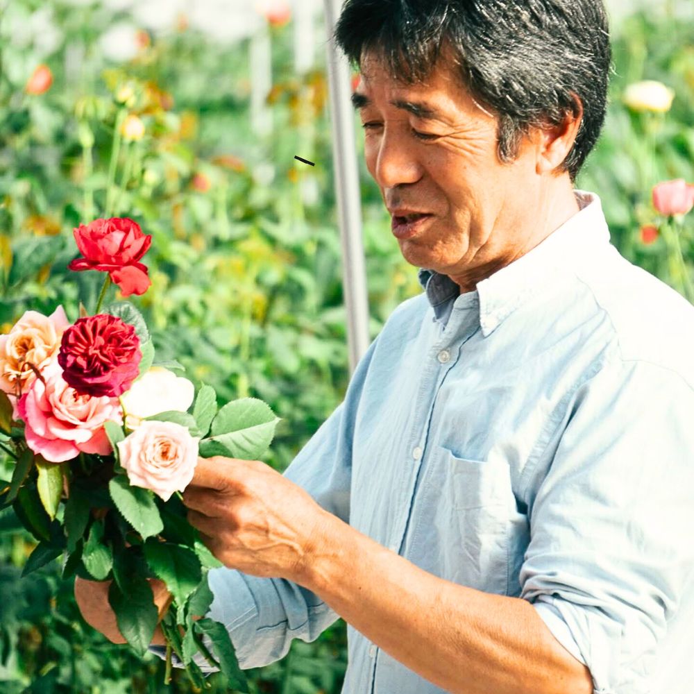 Keiji Kunieda of Wabara roses in Japan