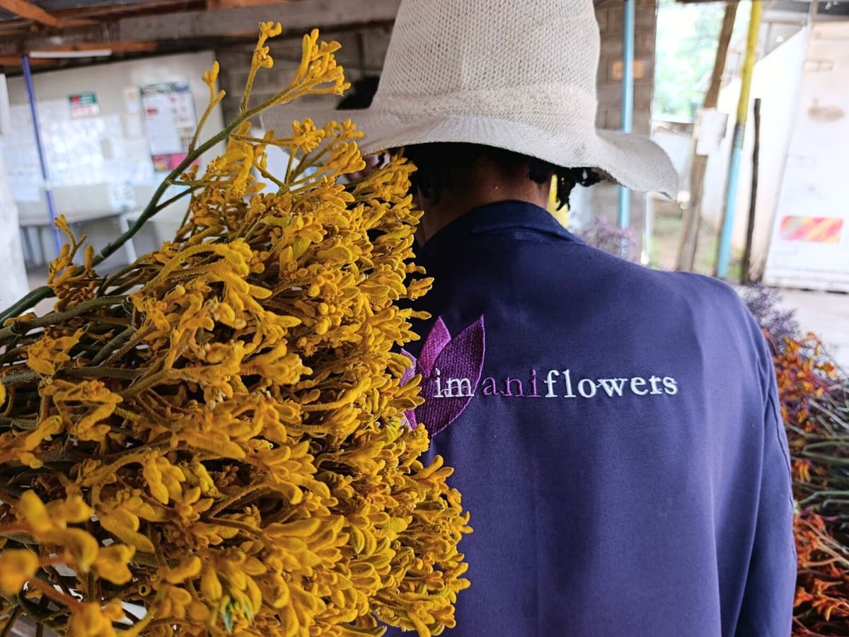 The power of breeders