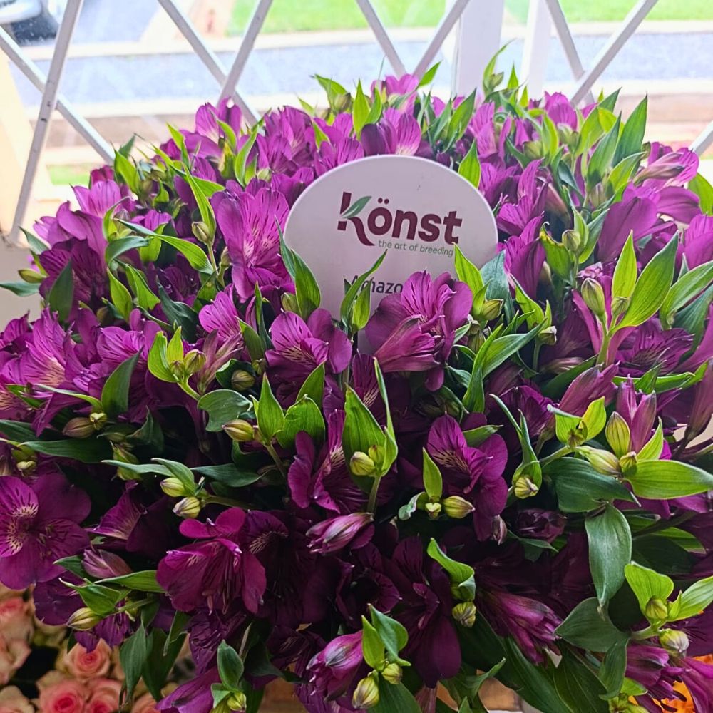 The power of breeders