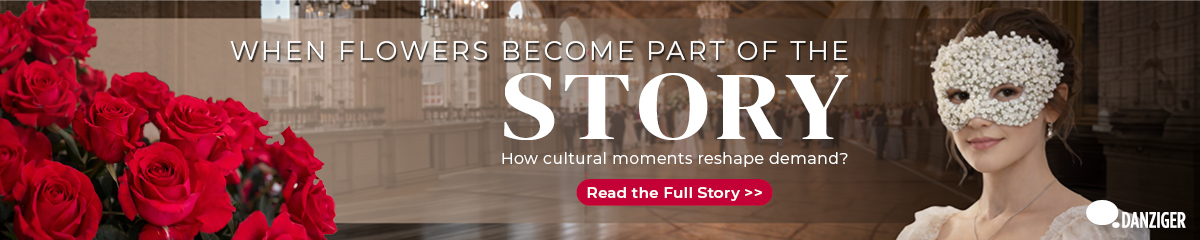 Banner Valentine by Bridgerton