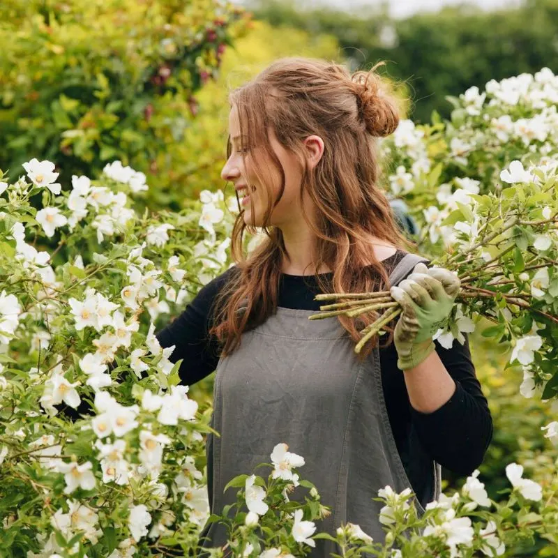 Local Journalism - Feature Image