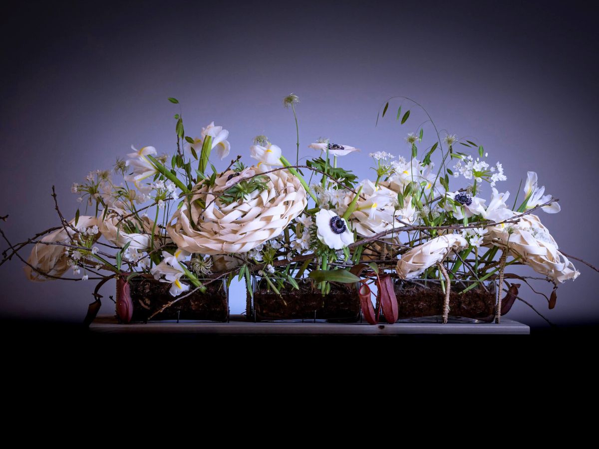 10 questions to Max Hurtaud