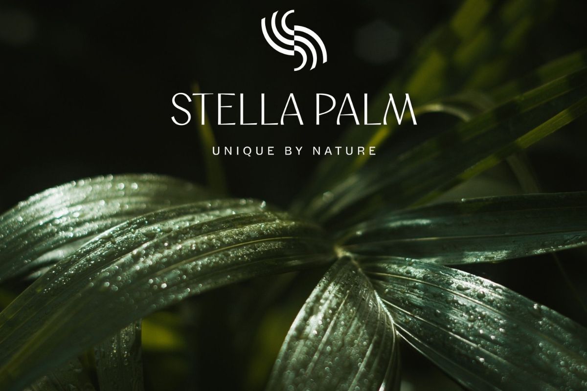 Stella Palm Unique by Nature