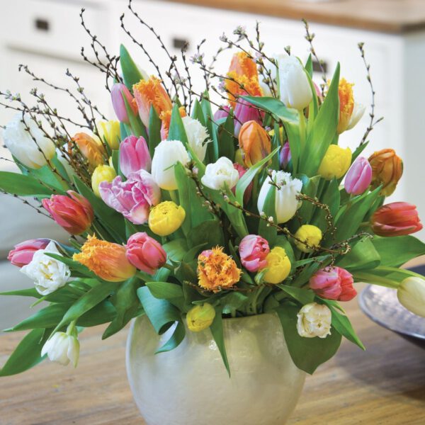 Colorful vases Parade with tulips - Tulip promotion on Thursd