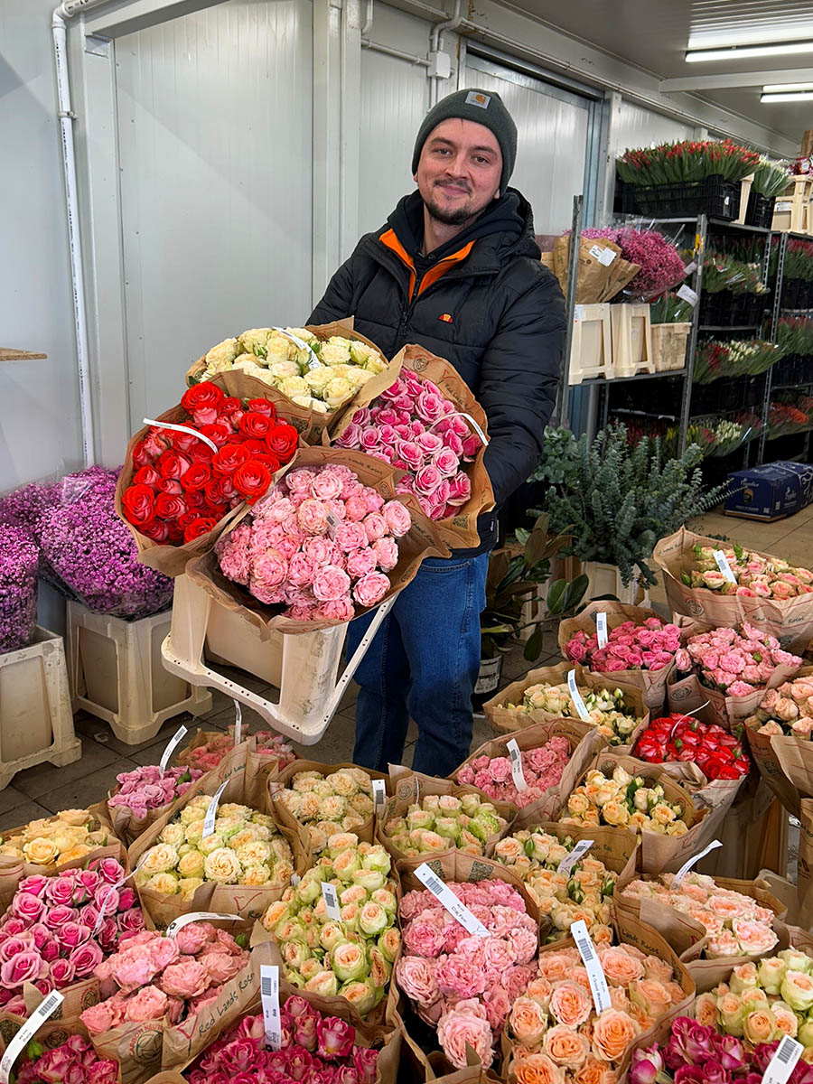 Michal Bursig roses in stock Michal Bursig roses in stock