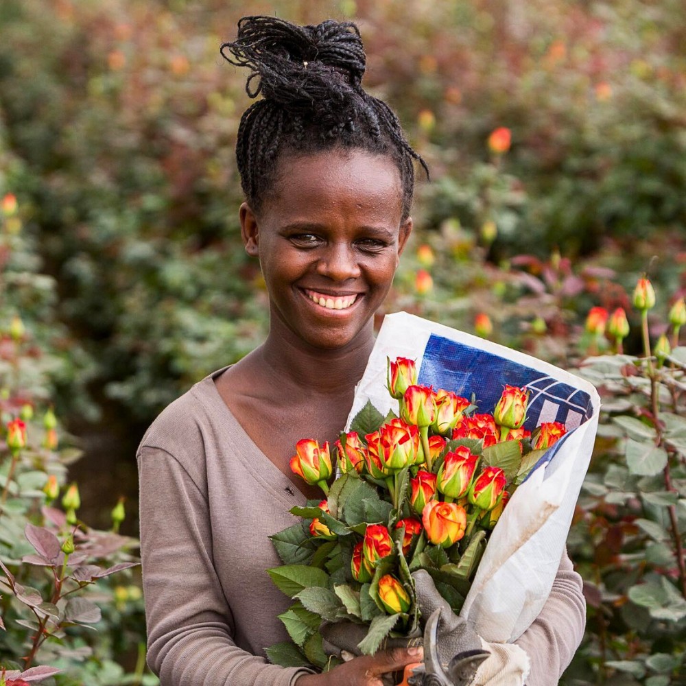 EHPEA Helps Ethiopian Flowers Meet Global Market Quality and Consistency Demands