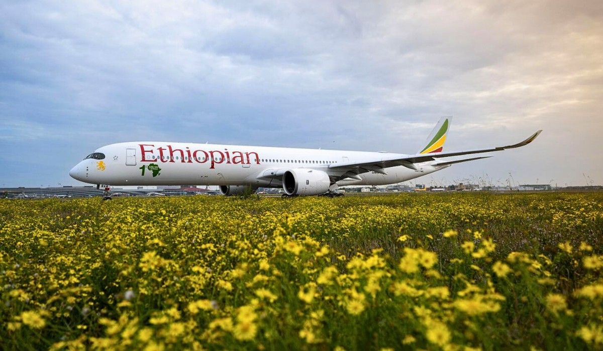 Ethiopia's floriculture continues to surpass market quality and consistency requirements. The Ethiopian Horticulture Producer Exporters Association (EHPEA) plays a leading role in achieving this.