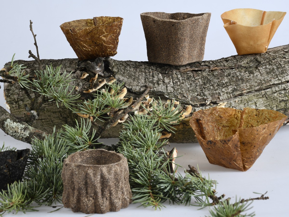 From Waste to Plant Pots: Rethinking What a Plant Pot Can Be