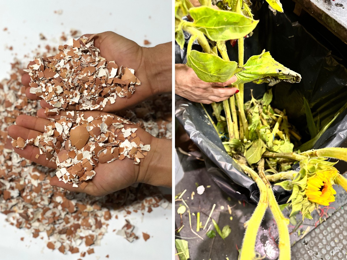 Recycling Waste and What This Means to What a Plant Pot Can Be