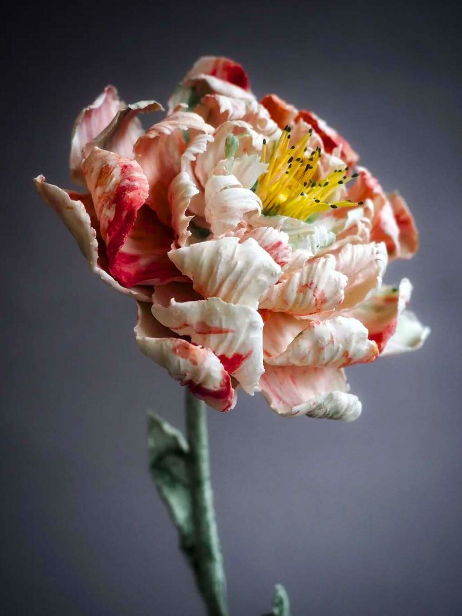 Detailed porcelain flower by Anna Detailed porcelain flower by Anna