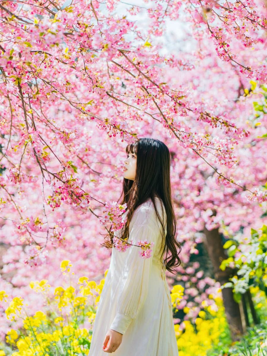 Pink and bright spring flowers