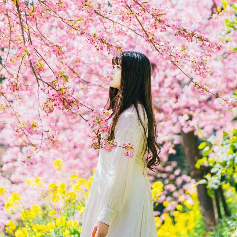 Spring Has Sprung and the Spring Equinox Has Already Arrived - Thursd Article - Featured Image