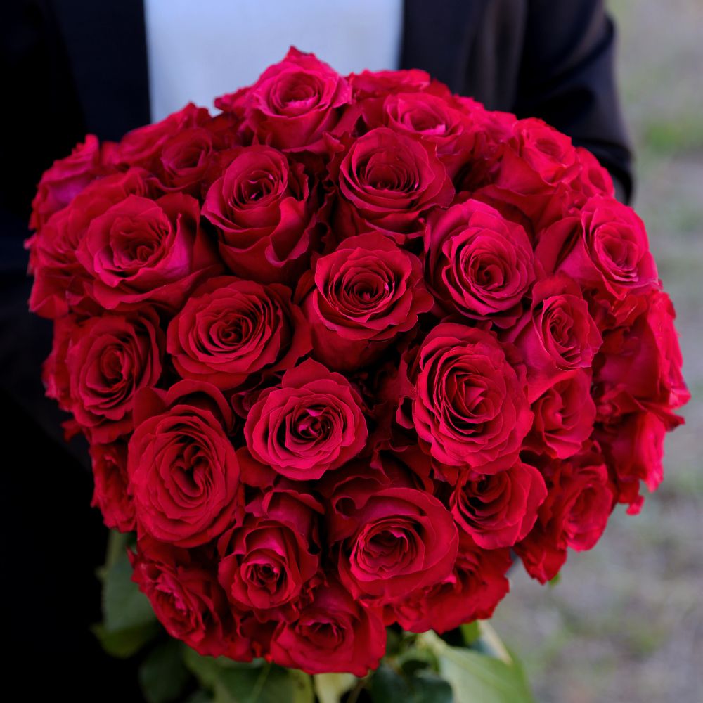 Red Monarch Meiriposo