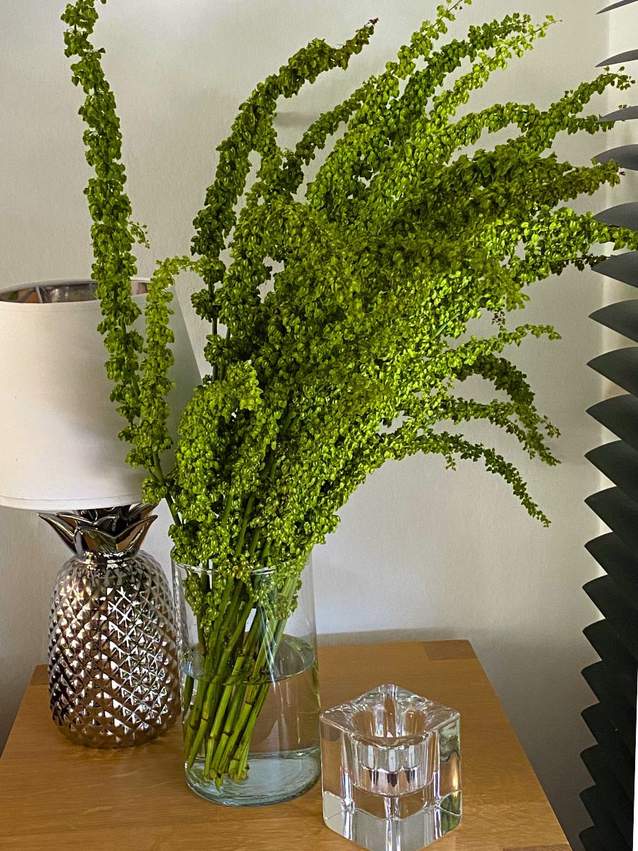 Unicorn&trade; as Home Decor in a Vase by Xander Dendas