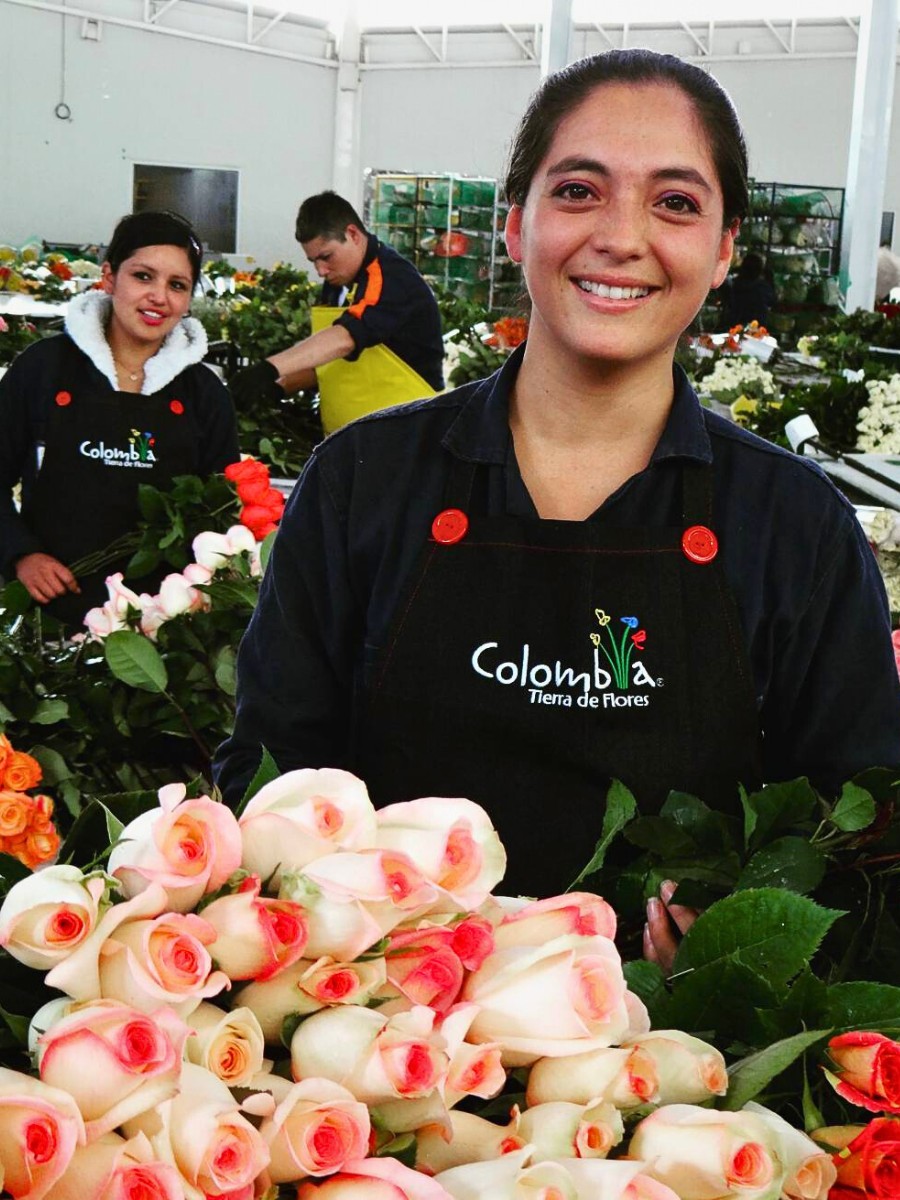 What Is Asocolflores?