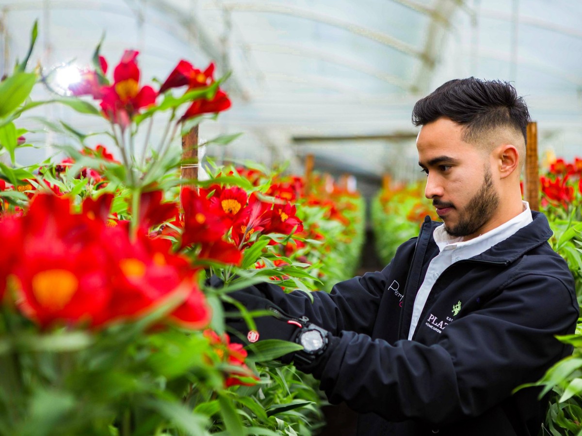 For Colombian floriculture, Asocolflores has been the umbrella organization ensuring the country&rsquo;s flowers gain and maintain a strong presence on global markets.