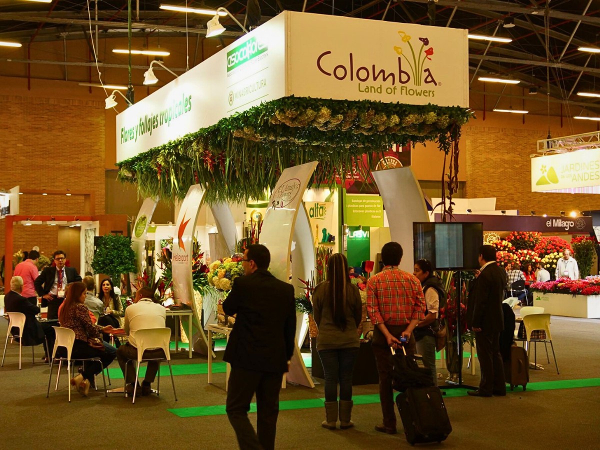 What Is Asocolflores? Asocolflores Is the National Association of Colombian Flower Exporters, a Guild That Has Shaped Colombia&rsquo;s Rise as One of the World&rsquo;s Leading Flower Suppliers Since the Early 1970s.