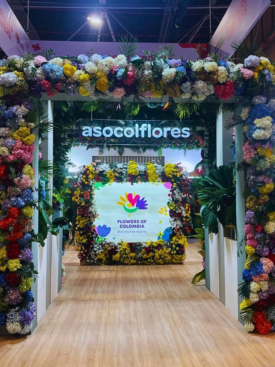What Is Asocolflores? Asocolflores Is the National Association of Colombian Flower Exporters, a Guild That Has Shaped Colombia&rsquo;s Rise as One of the World&rsquo;s Leading Flower Suppliers Since the Early 1970s.