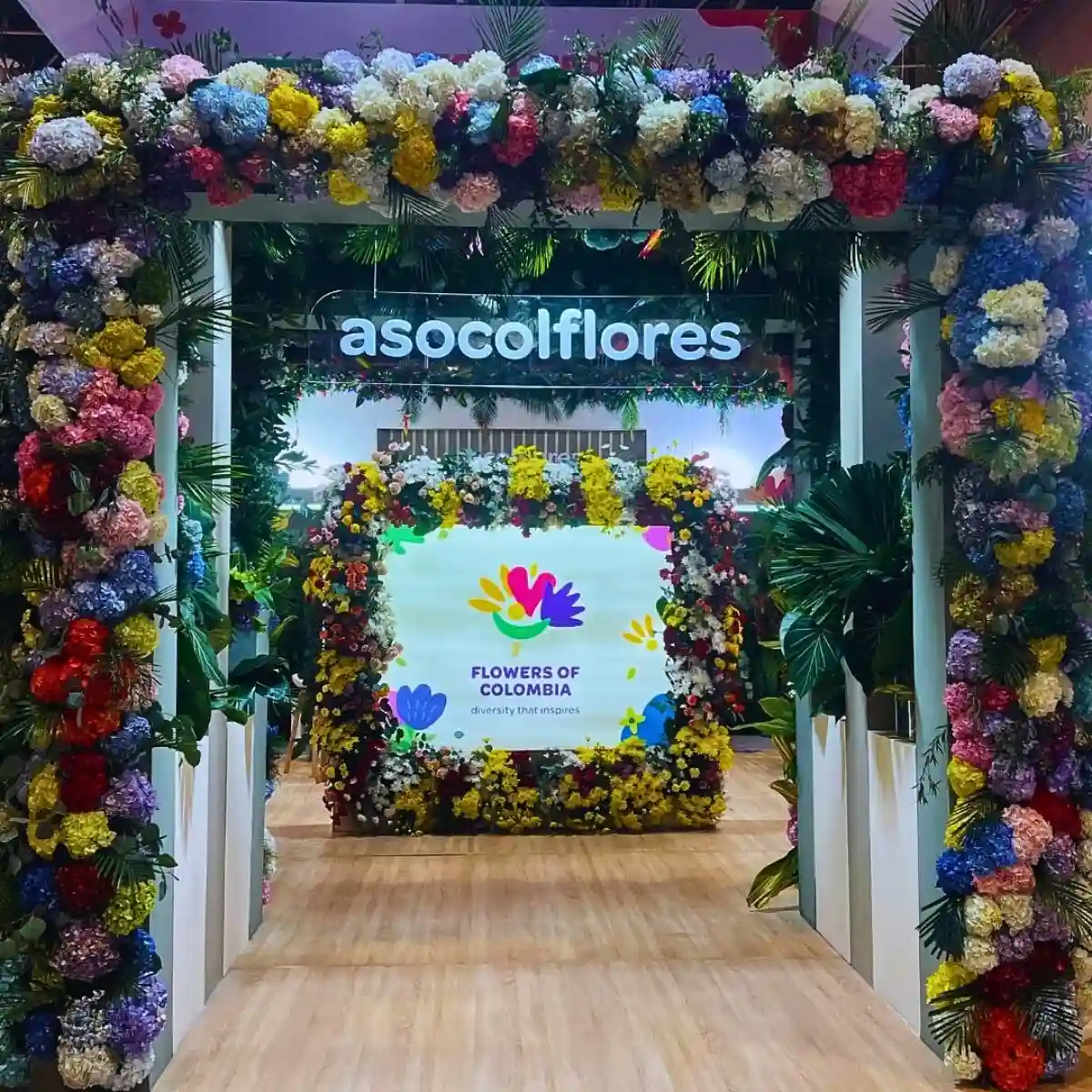 What Is Asocolflores? Asocolflores Is the National Association of Colombian Flower Exporters, a Guild That Has Shaped Colombia’s Rise as One of the World’s Leading Flower Suppliers Since the Early 1970s.