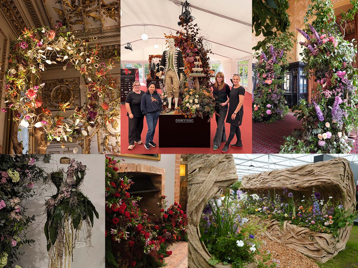 Rachel Kennedy Rooted in History collage