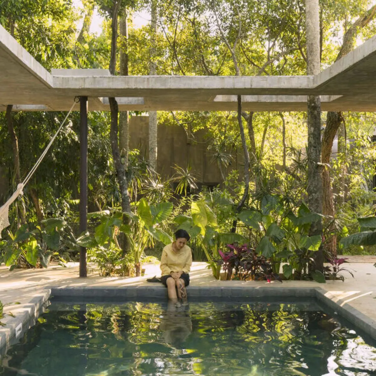 A Forest in the House